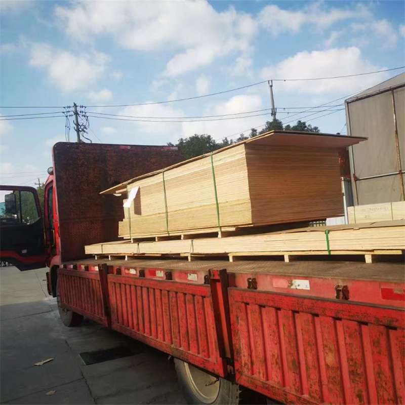 河南南阳唐河县至塔城货运专线，一站式物流服务助您成功